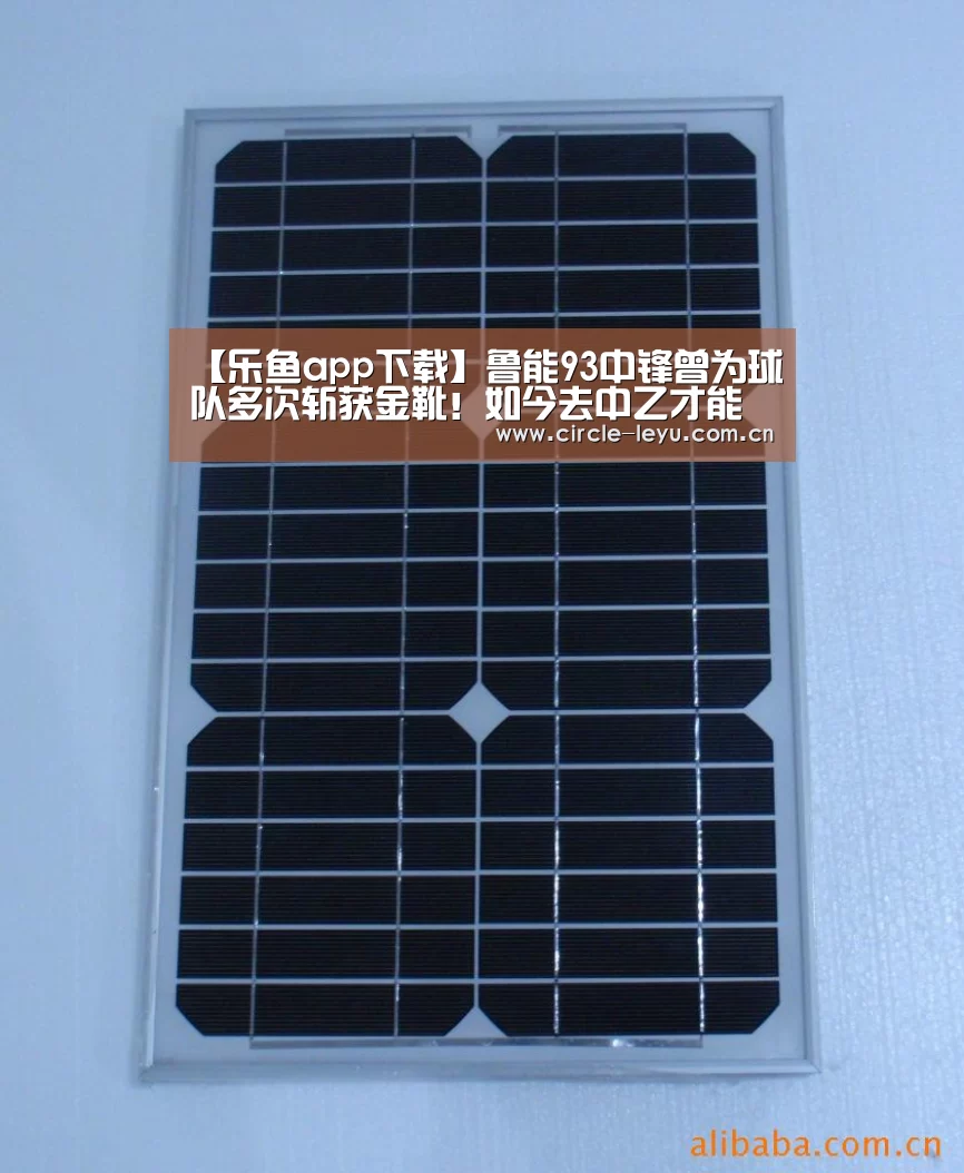 乐鱼官方网站入口