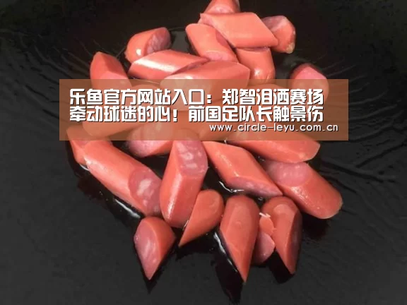 乐鱼app下载