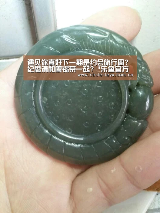 乐鱼官方网站入口