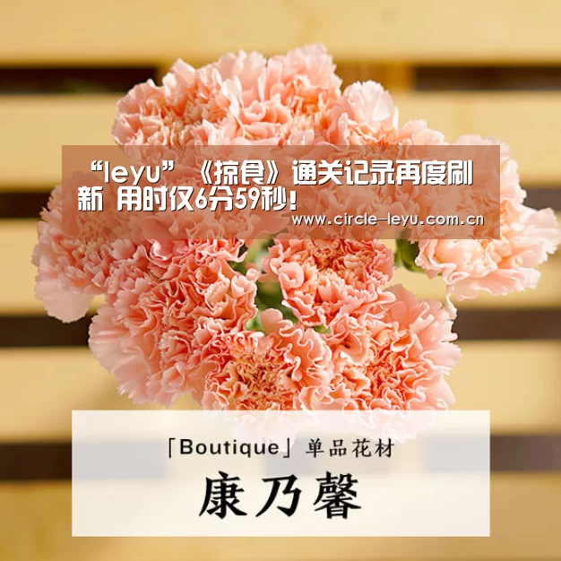 leyu乐鱼
