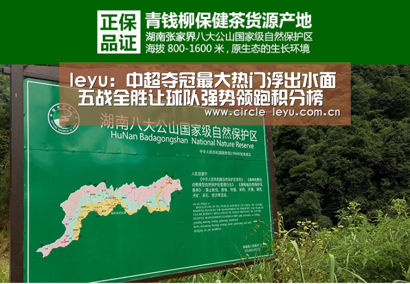 leyu乐鱼